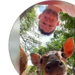 מאור בלאוכמן